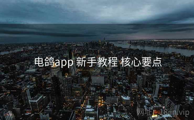 电鸽app 新手教程 核心要点