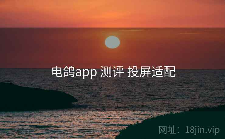 电鸽app 测评 投屏适配