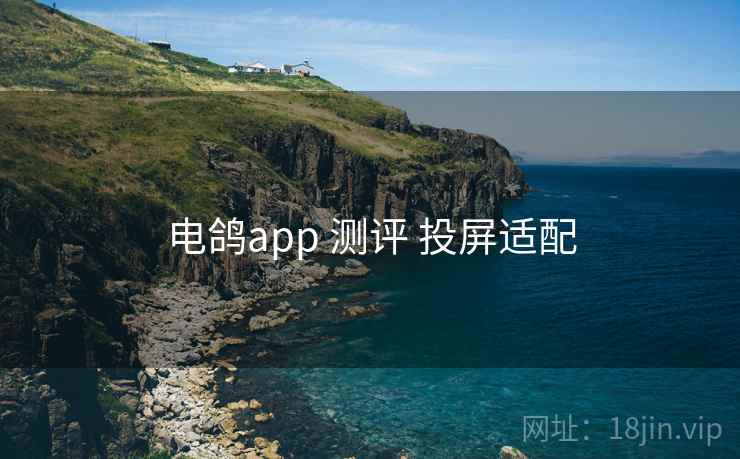 电鸽app 测评 投屏适配