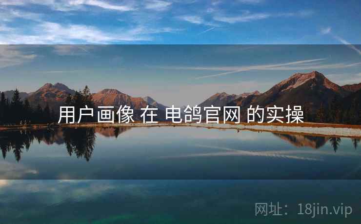 用户画像 在 电鸽官网 的实操
