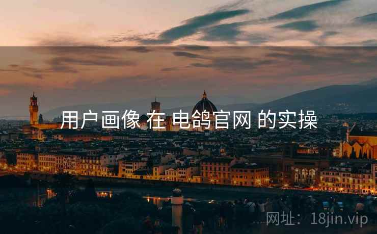 用户画像 在 电鸽官网 的实操