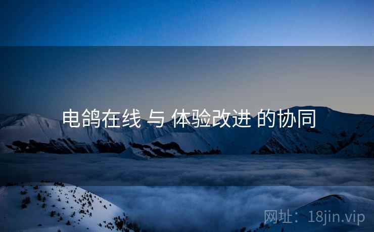 电鸽在线 与 体验改进 的协同