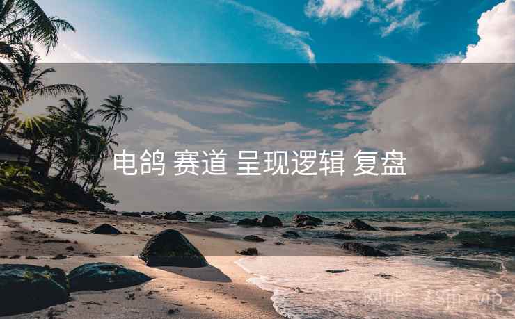 电鸽 赛道 呈现逻辑 复盘