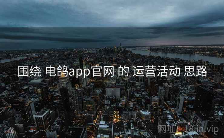 围绕 电鸽app官网 的 运营活动 思路