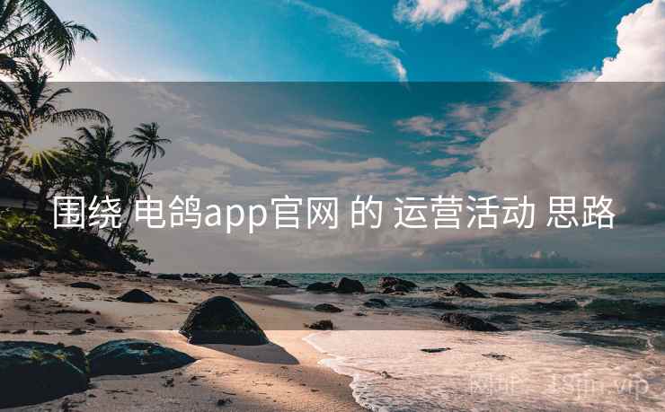 围绕 电鸽app官网 的 运营活动 思路