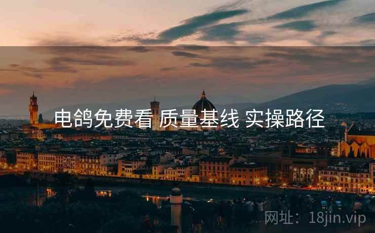 电鸽免费看 质量基线 实操路径