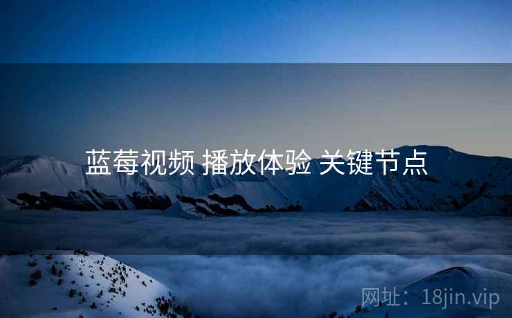 蓝莓视频 播放体验 关键节点