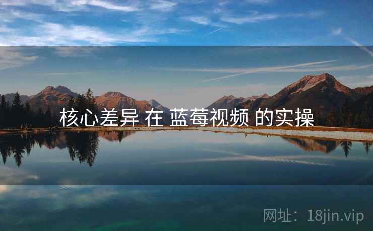 核心差异 在 蓝莓视频 的实操