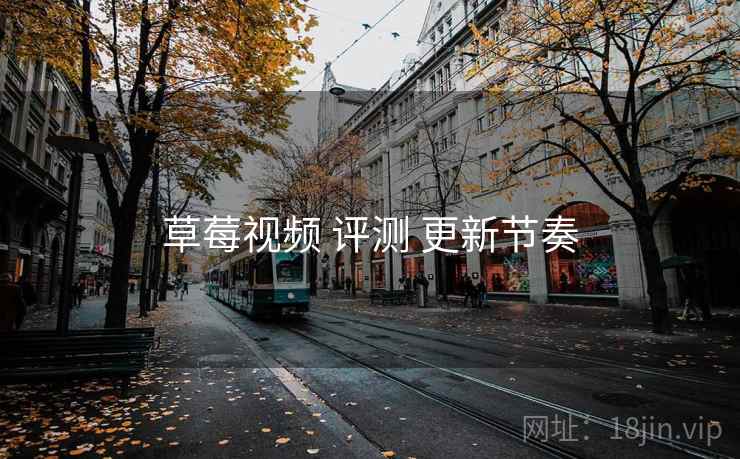 草莓视频 评测 更新节奏