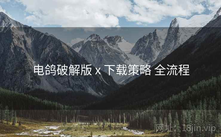 电鸽破解版 x 下载策略 全流程
