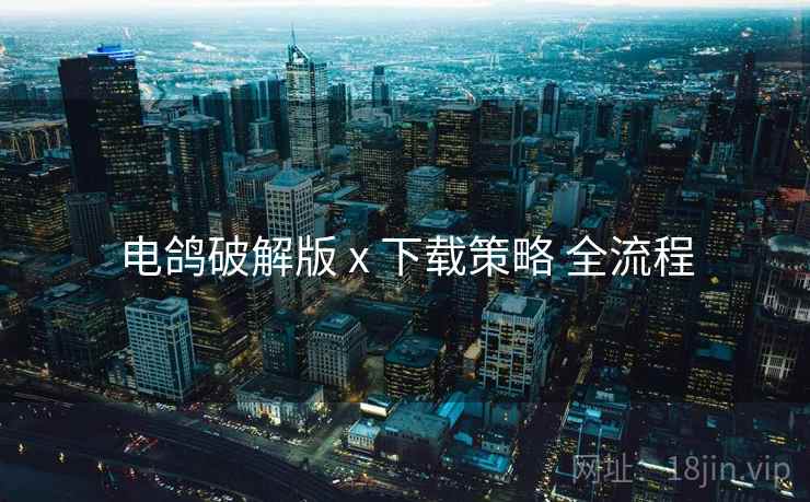 电鸽破解版 x 下载策略 全流程