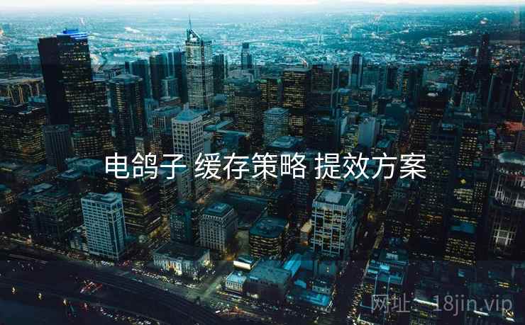电鸽子 缓存策略 提效方案