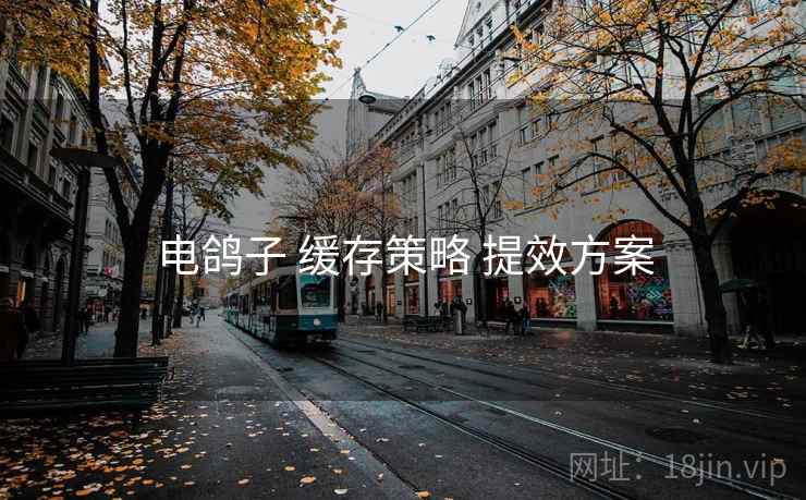 电鸽子 缓存策略 提效方案