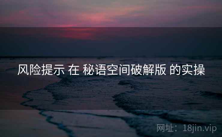 风险提示 在 秘语空间破解版 的实操