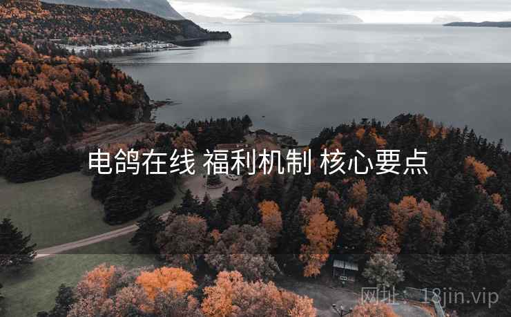电鸽在线 福利机制 核心要点