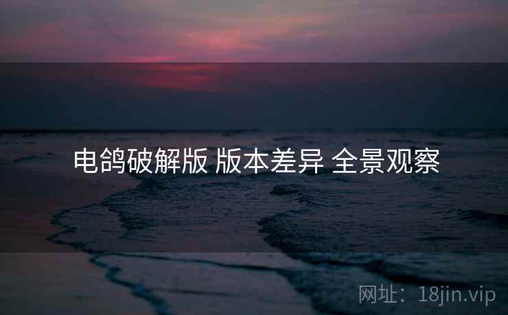 电鸽破解版 版本差异 全景观察