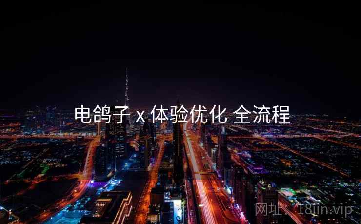 电鸽子 x 体验优化 全流程