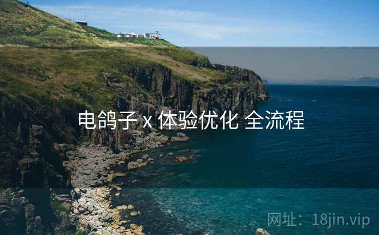 电鸽子 x 体验优化 全流程