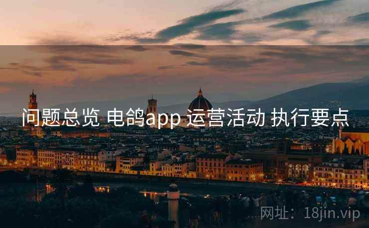 问题总览 电鸽app 运营活动 执行要点