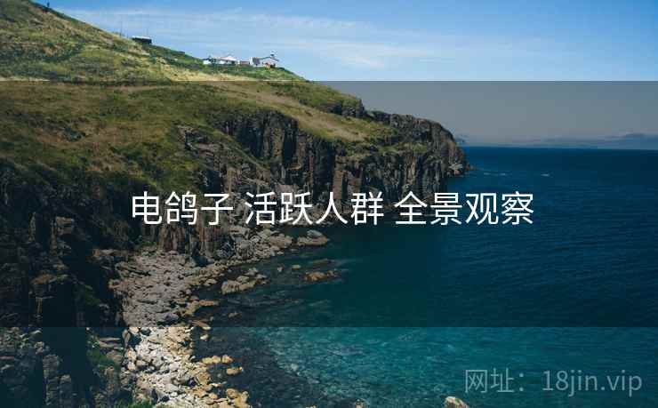 电鸽子 活跃人群 全景观察