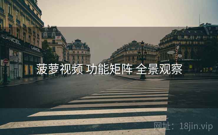 菠萝视频 功能矩阵 全景观察