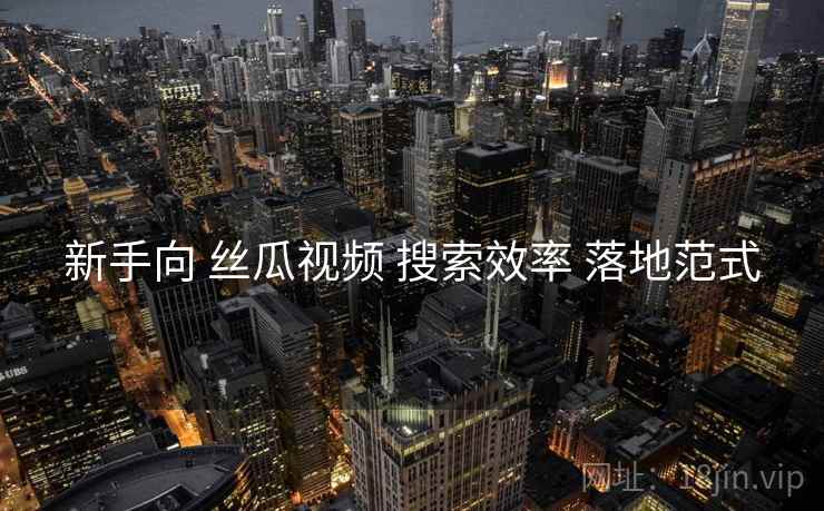 新手向 丝瓜视频 搜索效率 落地范式