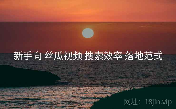 新手向 丝瓜视频 搜索效率 落地范式