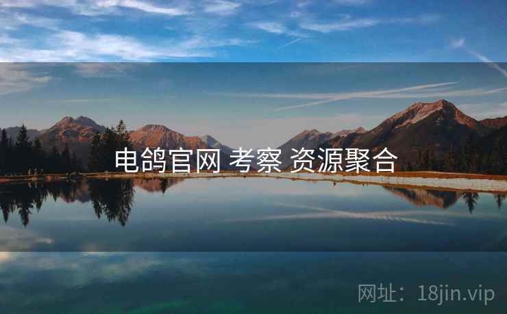 电鸽官网 考察 资源聚合