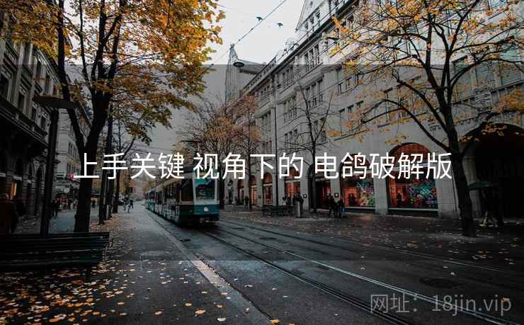 上手关键 视角下的 电鸽破解版