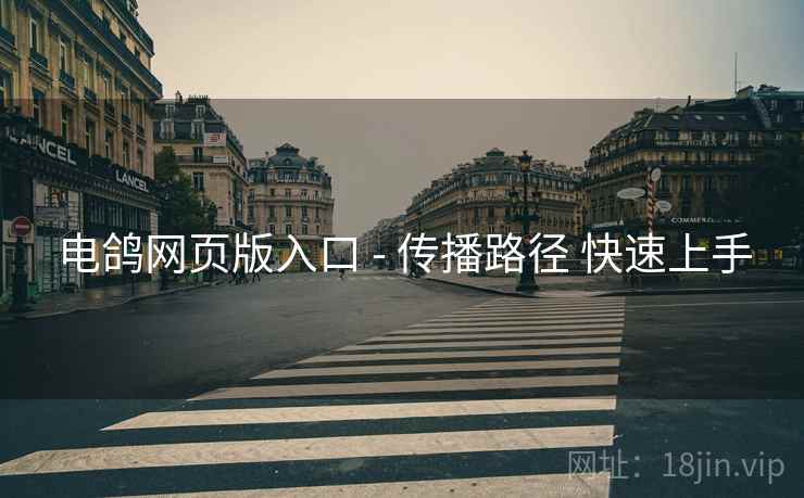 电鸽网页版入口 - 传播路径 快速上手