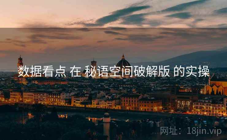 数据看点 在 秘语空间破解版 的实操