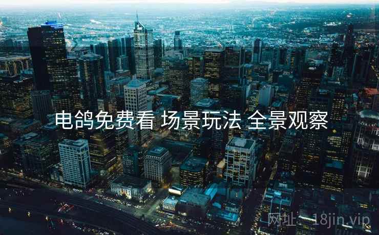 电鸽免费看 场景玩法 全景观察