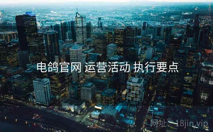 电鸽官网 运营活动 执行要点