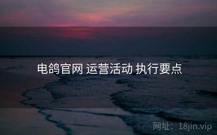 电鸽官网 运营活动 执行要点