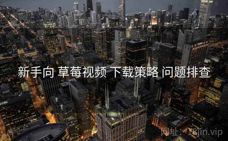 新手向 草莓视频 下载策略 问题排查