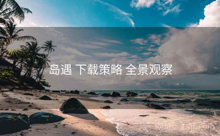 岛遇 下载策略 全景观察