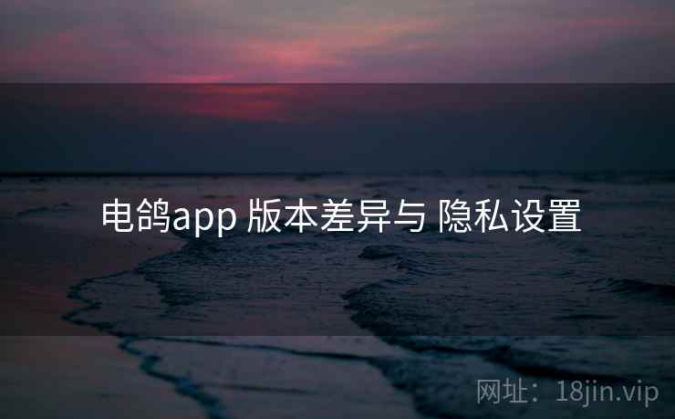 电鸽app 版本差异与 隐私设置
