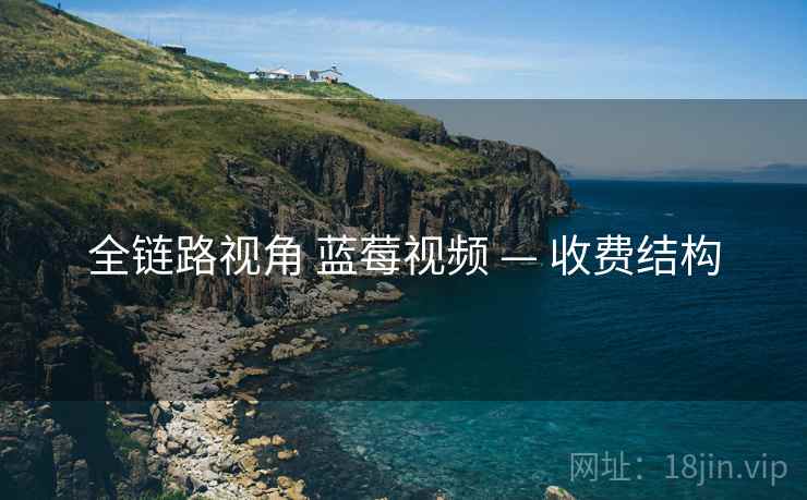 全链路视角 蓝莓视频 — 收费结构