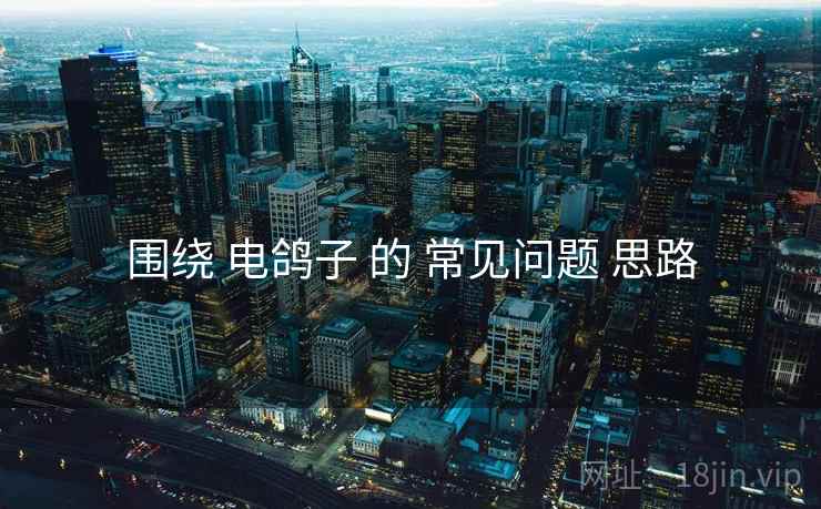 围绕 电鸽子 的 常见问题 思路