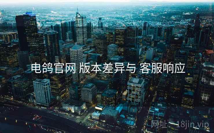电鸽官网 版本差异与 客服响应