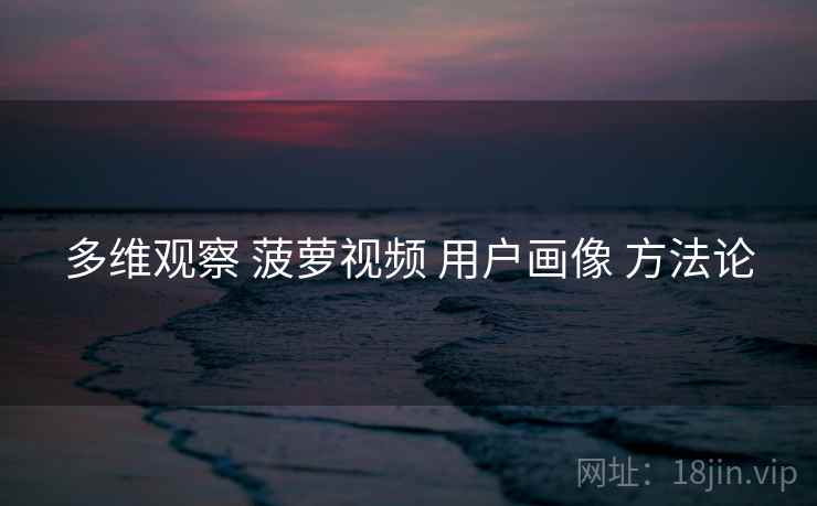 多维观察 菠萝视频 用户画像 方法论
