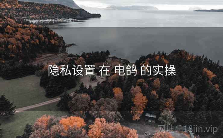隐私设置 在 电鸽 的实操