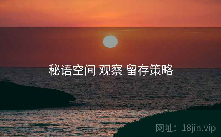 秘语空间 观察 留存策略