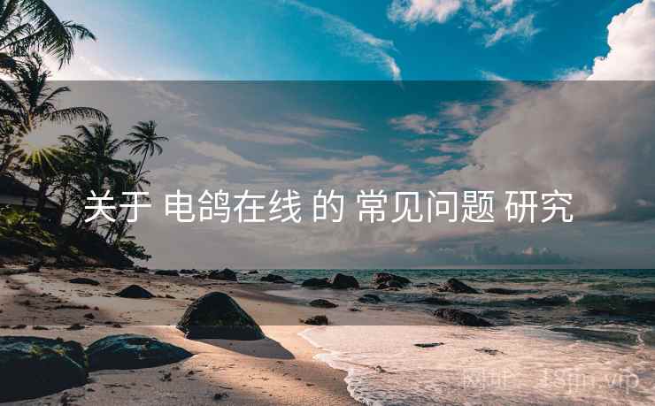 关于 电鸽在线 的 常见问题 研究