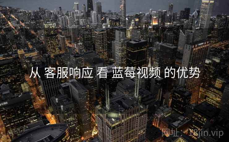 从 客服响应 看 蓝莓视频 的优势