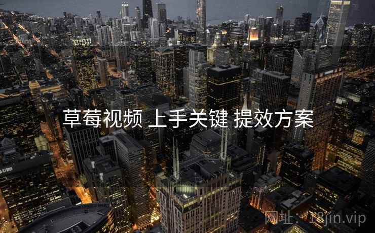 草莓视频 上手关键 提效方案