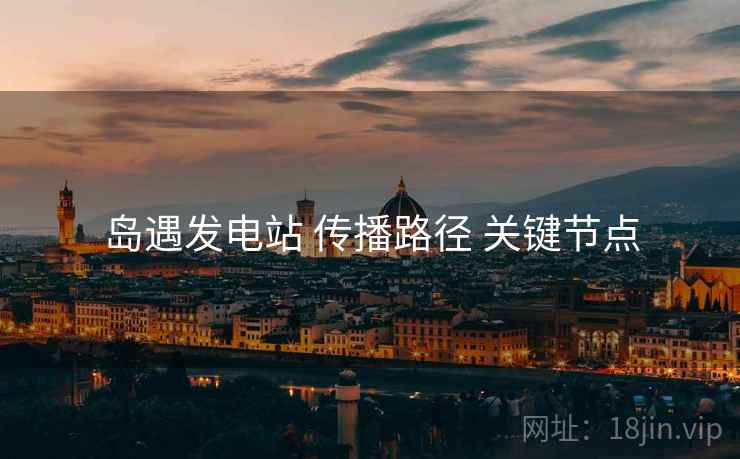 岛遇发电站 传播路径 关键节点