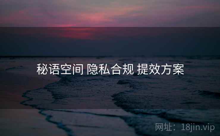 秘语空间 隐私合规 提效方案