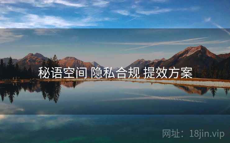 秘语空间 隐私合规 提效方案