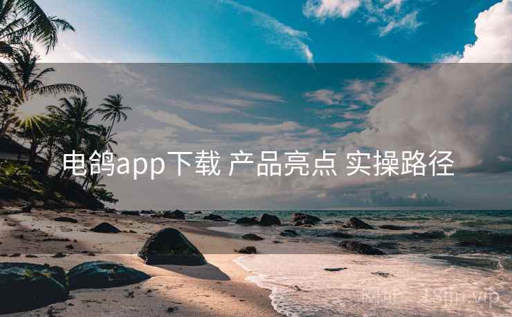 电鸽app下载 产品亮点 实操路径